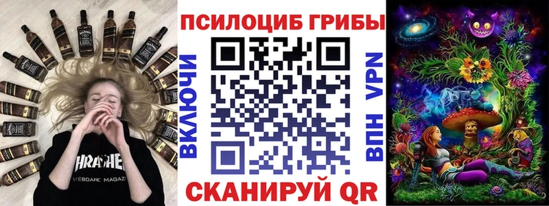 дарнет шоп  Новосокольники  Псилоцибиновые грибы ЛСД 